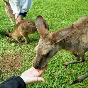 Meet your Posher, Annette